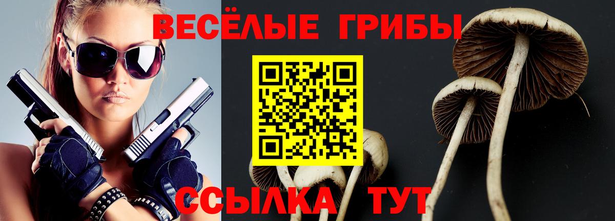 Псилоцибиновые грибы мухоморы  Вход с VPN  Нарткала  Псилоцибиновые грибы прущие грибы 